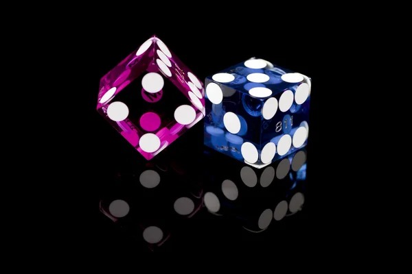 Live dealer Qiu Qiu table with multiple players on singasaritoto login